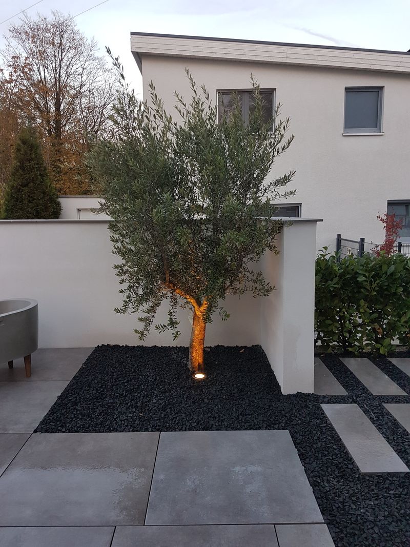 Bepflanzung