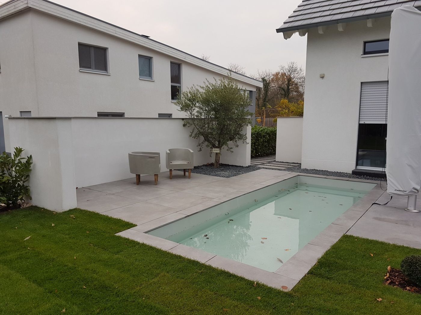 Poolgarten mit Splittfugen-Pflaster und Olivenbaum