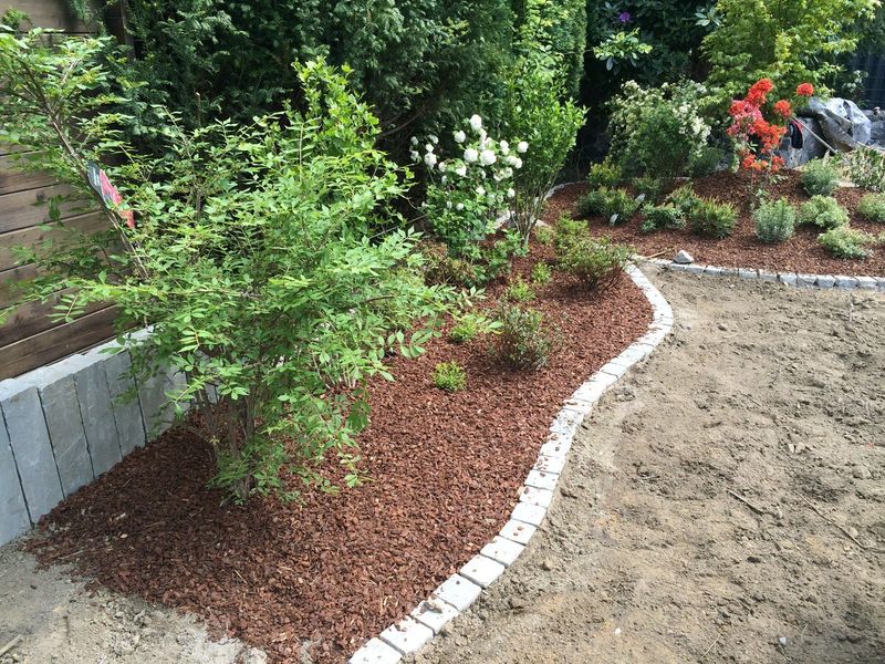 Neu bepflanztes Beet mit rotem Rindenmulch, Natursteineinfassung und blühenden Sträuchern