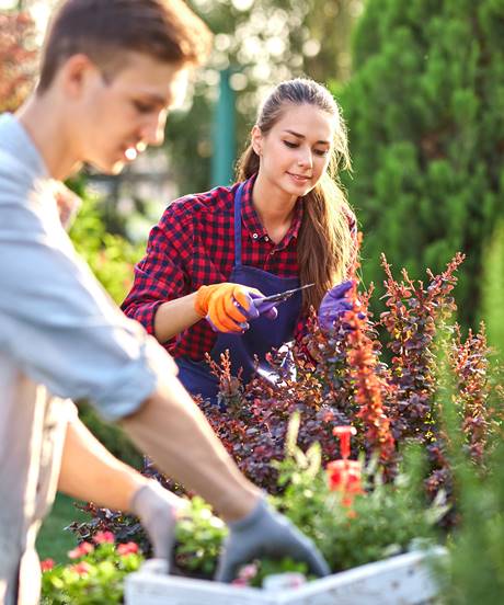 Gartengestaltung